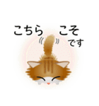 色々な猫12-3 長毛-立ち耳-茶トラ白（個別スタンプ：32）