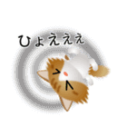 色々な猫12-3 長毛-立ち耳-茶トラ白（個別スタンプ：35）