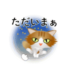 色々な猫12-3 長毛-立ち耳-茶トラ白（個別スタンプ：38）