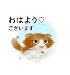 色々な猫12-4 長毛-垂れ耳-茶トラ白（個別スタンプ：1）