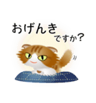 色々な猫12-4 長毛-垂れ耳-茶トラ白（個別スタンプ：4）