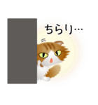 色々な猫12-4 長毛-垂れ耳-茶トラ白（個別スタンプ：6）