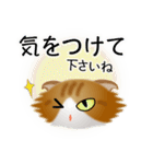 色々な猫12-4 長毛-垂れ耳-茶トラ白（個別スタンプ：14）