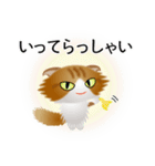 色々な猫12-4 長毛-垂れ耳-茶トラ白（個別スタンプ：15）