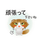 色々な猫12-4 長毛-垂れ耳-茶トラ白（個別スタンプ：16）