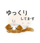色々な猫12-4 長毛-垂れ耳-茶トラ白（個別スタンプ：18）