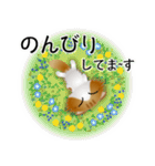色々な猫12-4 長毛-垂れ耳-茶トラ白（個別スタンプ：19）