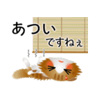 色々な猫12-4 長毛-垂れ耳-茶トラ白（個別スタンプ：21）