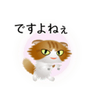 色々な猫12-4 長毛-垂れ耳-茶トラ白（個別スタンプ：23）
