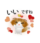 色々な猫12-4 長毛-垂れ耳-茶トラ白（個別スタンプ：24）