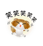 色々な猫12-4 長毛-垂れ耳-茶トラ白（個別スタンプ：26）