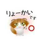 色々な猫12-4 長毛-垂れ耳-茶トラ白（個別スタンプ：27）