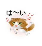 色々な猫12-4 長毛-垂れ耳-茶トラ白（個別スタンプ：29）