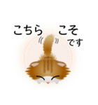色々な猫12-4 長毛-垂れ耳-茶トラ白（個別スタンプ：32）