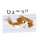 色々な猫12-4 長毛-垂れ耳-茶トラ白（個別スタンプ：34）