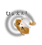 色々な猫12-4 長毛-垂れ耳-茶トラ白（個別スタンプ：35）