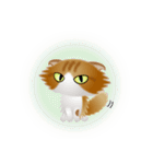 色々な猫12-4 長毛-垂れ耳-茶トラ白（個別スタンプ：37）