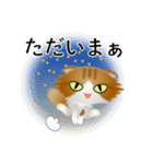 色々な猫12-4 長毛-垂れ耳-茶トラ白（個別スタンプ：38）