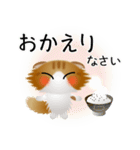 色々な猫12-4 長毛-垂れ耳-茶トラ白（個別スタンプ：39）