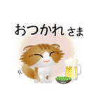 色々な猫12-4 長毛-垂れ耳-茶トラ白（個別スタンプ：40）