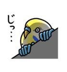 メンドクサインコ、再び（個別スタンプ：34）