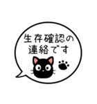 【生存確認】黒猫の吹き出し（個別スタンプ：1）