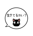 【生存確認】黒猫の吹き出し（個別スタンプ：4）