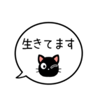 【生存確認】黒猫の吹き出し（個別スタンプ：5）