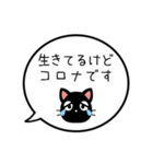 【生存確認】黒猫の吹き出し（個別スタンプ：24）