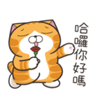 ランラン猫 73 (台湾版)（個別スタンプ：1）