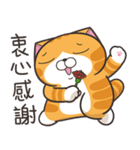 ランラン猫 73 (台湾版)（個別スタンプ：2）
