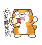 ランラン猫 73 (台湾版)（個別スタンプ：8）