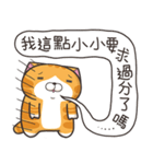 ランラン猫 73 (台湾版)（個別スタンプ：13）