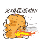 ランラン猫 73 (台湾版)（個別スタンプ：19）