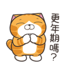 ランラン猫 73 (台湾版)（個別スタンプ：21）