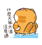 ランラン猫 73 (台湾版)（個別スタンプ：24）