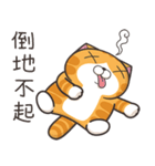ランラン猫 73 (台湾版)（個別スタンプ：30）