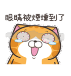 ランラン猫 73 (台湾版)（個別スタンプ：35）
