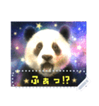 書き込める！！びっくりアニマル♥宇宙×動物（個別スタンプ：3）