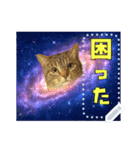 書き込める！！びっくりアニマル♥宇宙×動物（個別スタンプ：4）