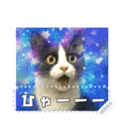 書き込める！！びっくりアニマル♥宇宙×動物（個別スタンプ：5）