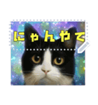 書き込める！！びっくりアニマル♥宇宙×動物（個別スタンプ：10）