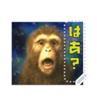 書き込める！！びっくりアニマル♥宇宙×動物（個別スタンプ：13）