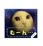書き込める！！びっくりアニマル♥宇宙×動物（個別スタンプ：16）