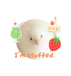 ヒメウズラの一日②（個別スタンプ：12）