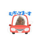 ヒメウズラの一日②（個別スタンプ：17）