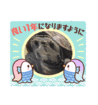 kanakumaファミリー1（個別スタンプ：2）