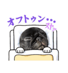 kanakumaファミリー1（個別スタンプ：5）