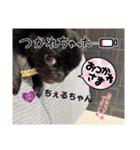 kanakumaファミリー1（個別スタンプ：14）