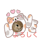 うさぎとカメ1（個別スタンプ：1）